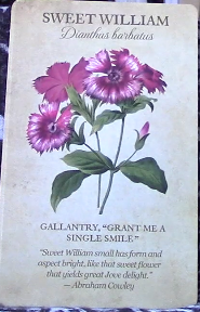 Botanical Inspirations Deck & Book Set